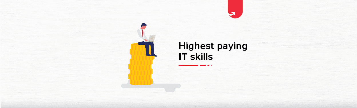 Top 6 Highest Paying IT Skills in 2024 You Should Develop