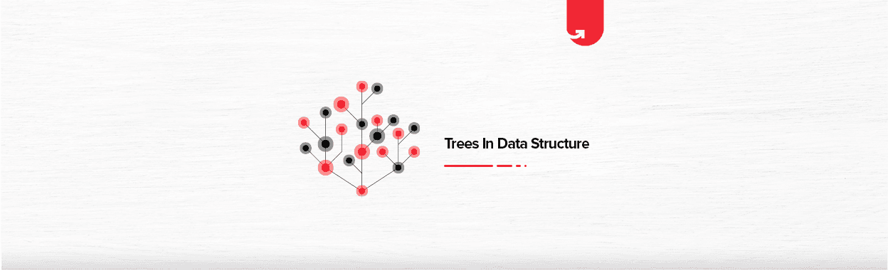 Trees in Data Structure: 8 Types of Trees Every Data Scientist Should Know About