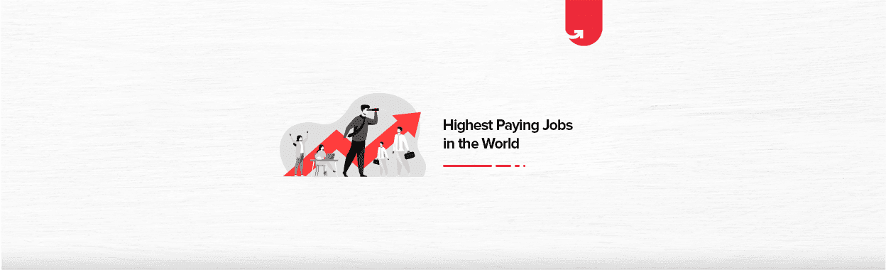 Top 25 Highest Paying Jobs in the World in 2024 [A Complete Guide]