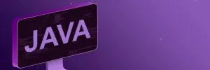 Object-Oriented Principles in Java