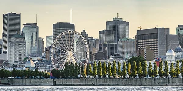 Description of the image