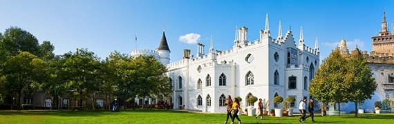 MSc International Business Management